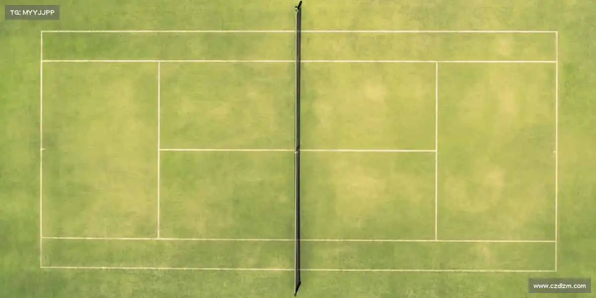 为什么选择我们